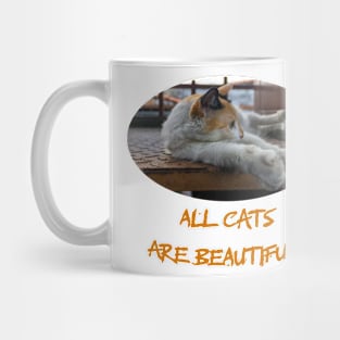 all cats are cute Mug